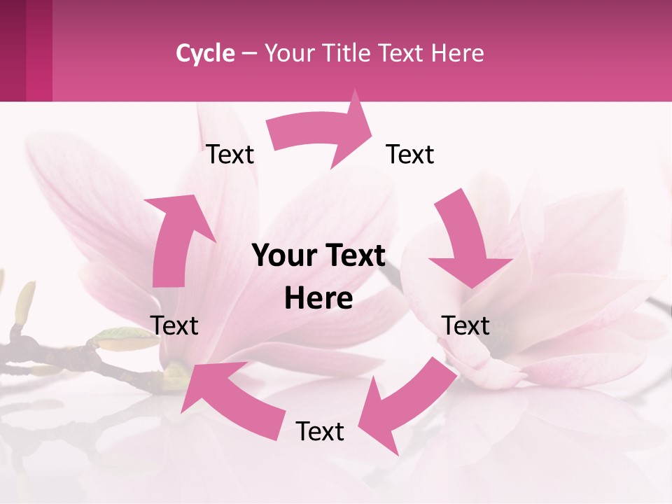 Three Pink Flowers On A White Background With A Pink Border PowerPoint Template