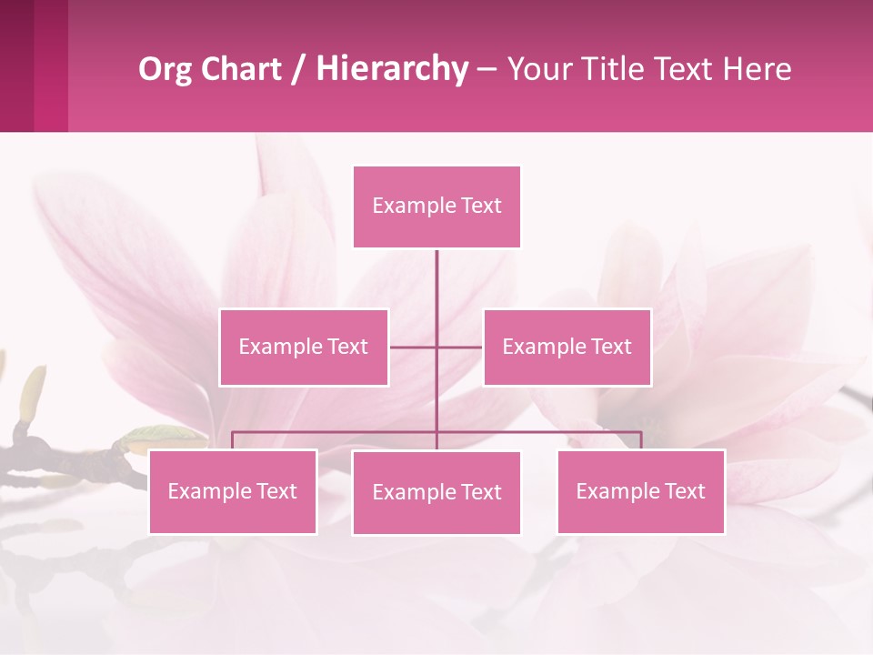 Three Pink Flowers On A White Background With A Pink Border PowerPoint Template
