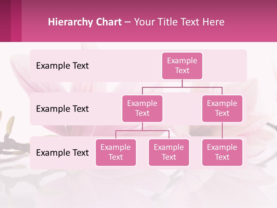 Three Pink Flowers On A White Background With A Pink Border PowerPoint Template