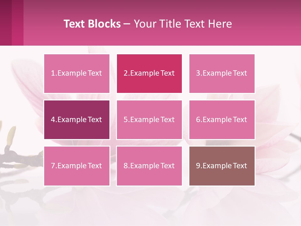 Three Pink Flowers On A White Background With A Pink Border PowerPoint Template