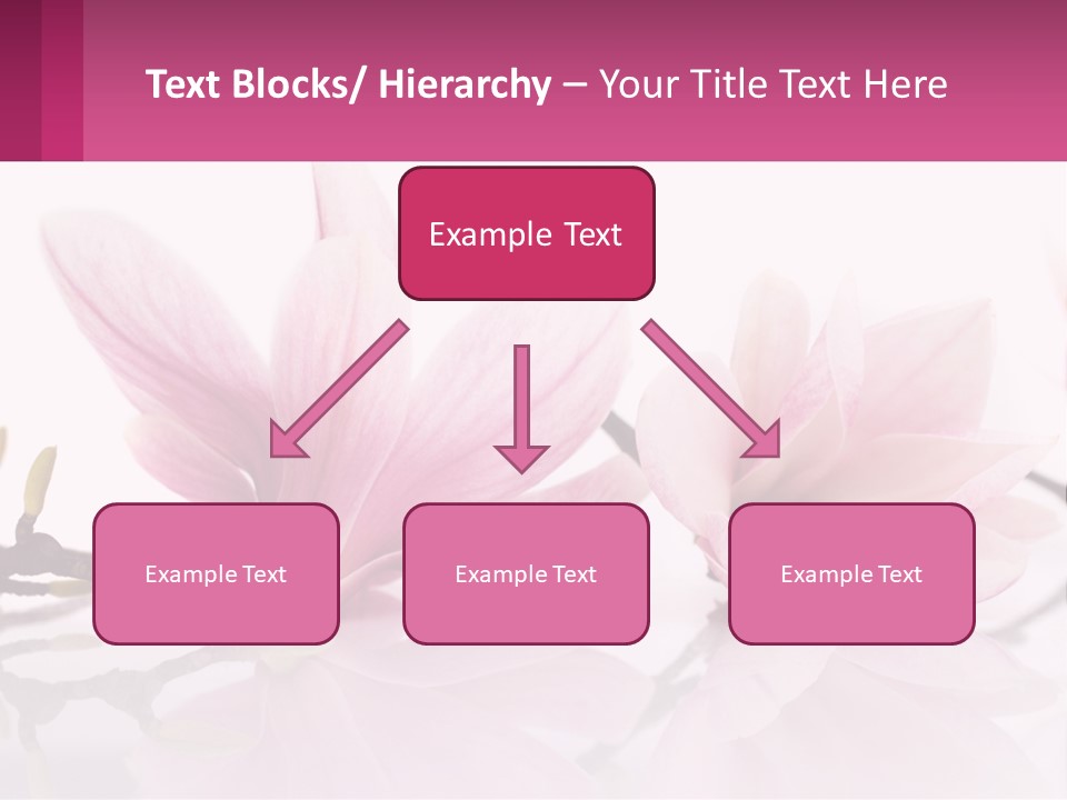 Three Pink Flowers On A White Background With A Pink Border PowerPoint Template