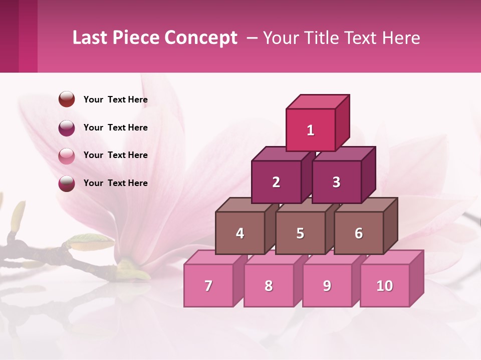 Three Pink Flowers On A White Background With A Pink Border PowerPoint Template