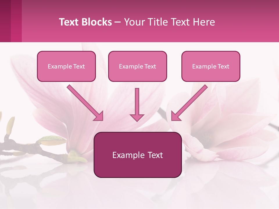 Three Pink Flowers On A White Background With A Pink Border PowerPoint Template