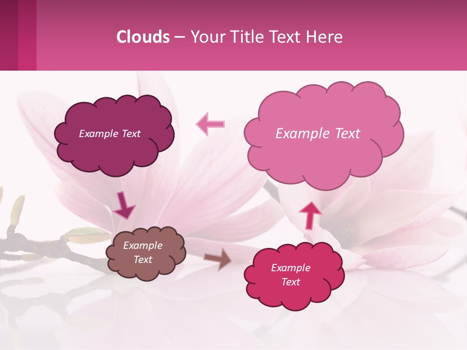 Three Pink Flowers On A White Background With A Pink Border PowerPoint Template