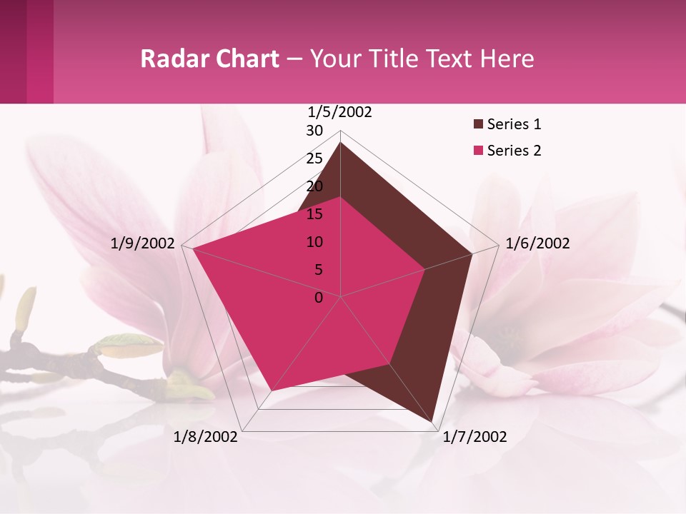 Three Pink Flowers On A White Background With A Pink Border PowerPoint Template