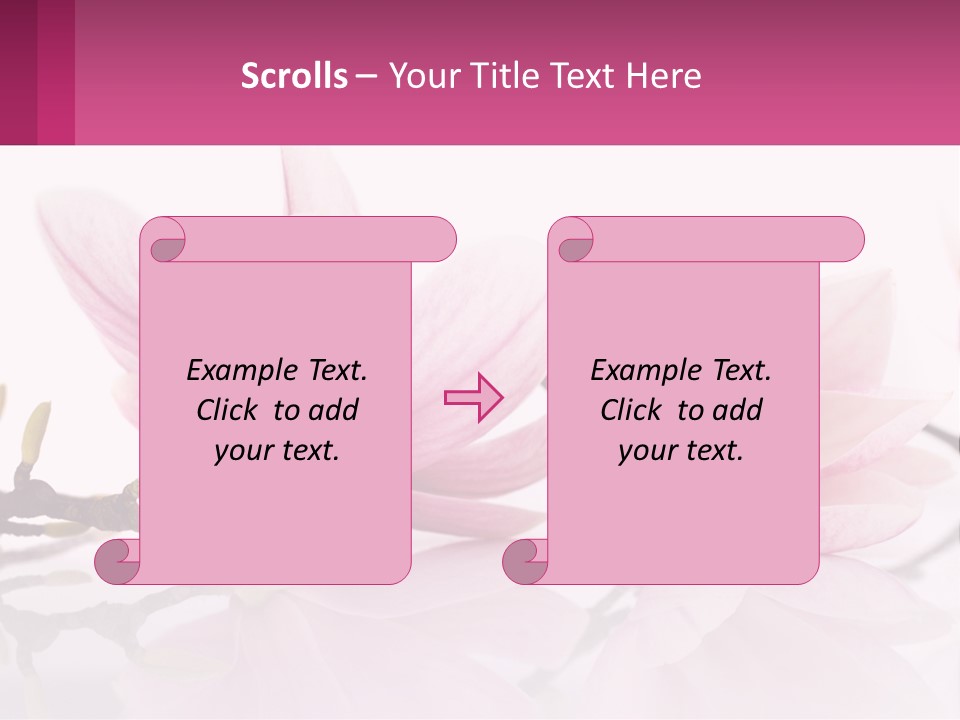 Three Pink Flowers On A White Background With A Pink Border PowerPoint Template