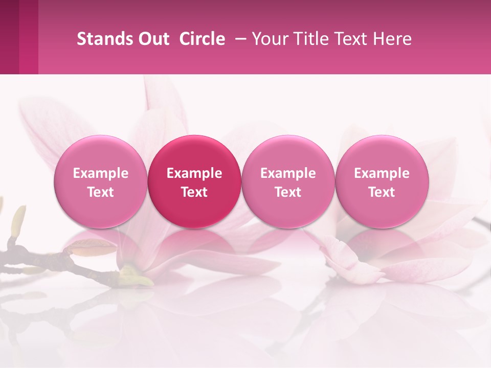 Three Pink Flowers On A White Background With A Pink Border PowerPoint Template
