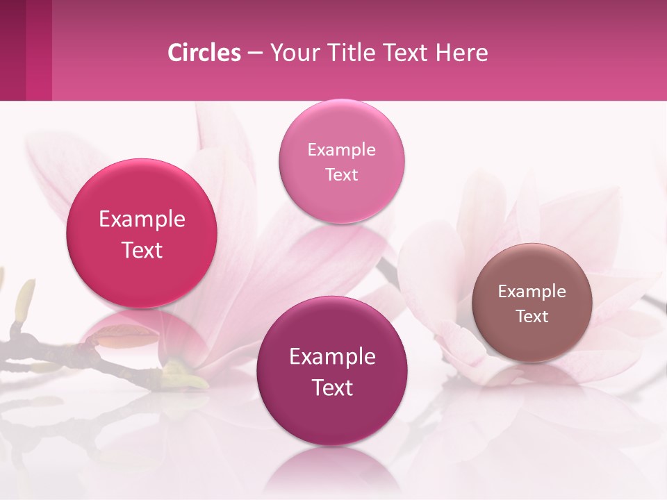 Three Pink Flowers On A White Background With A Pink Border PowerPoint Template