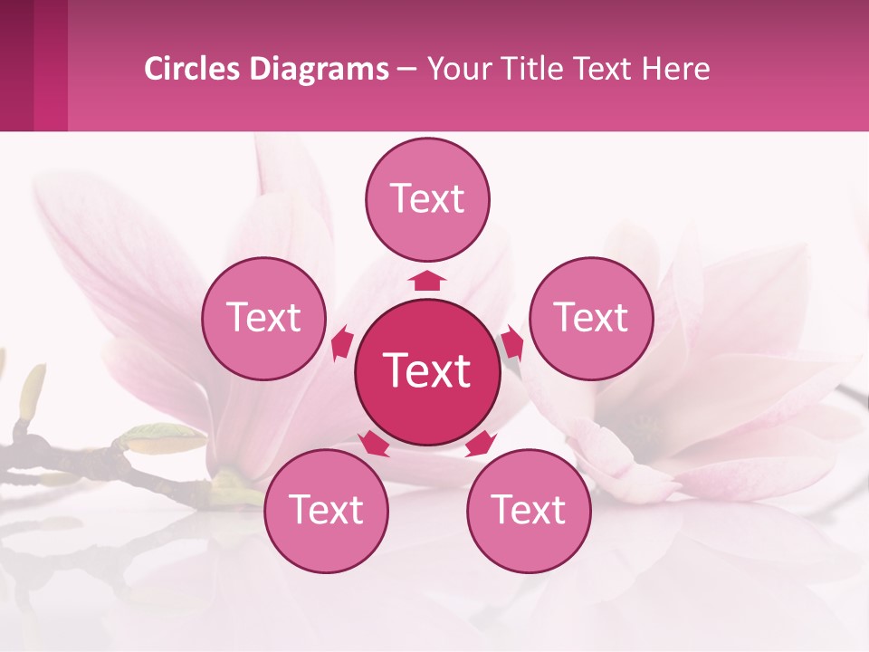 Three Pink Flowers On A White Background With A Pink Border PowerPoint Template