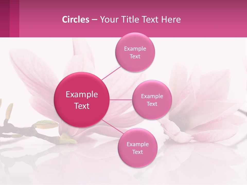 Three Pink Flowers On A White Background With A Pink Border PowerPoint Template