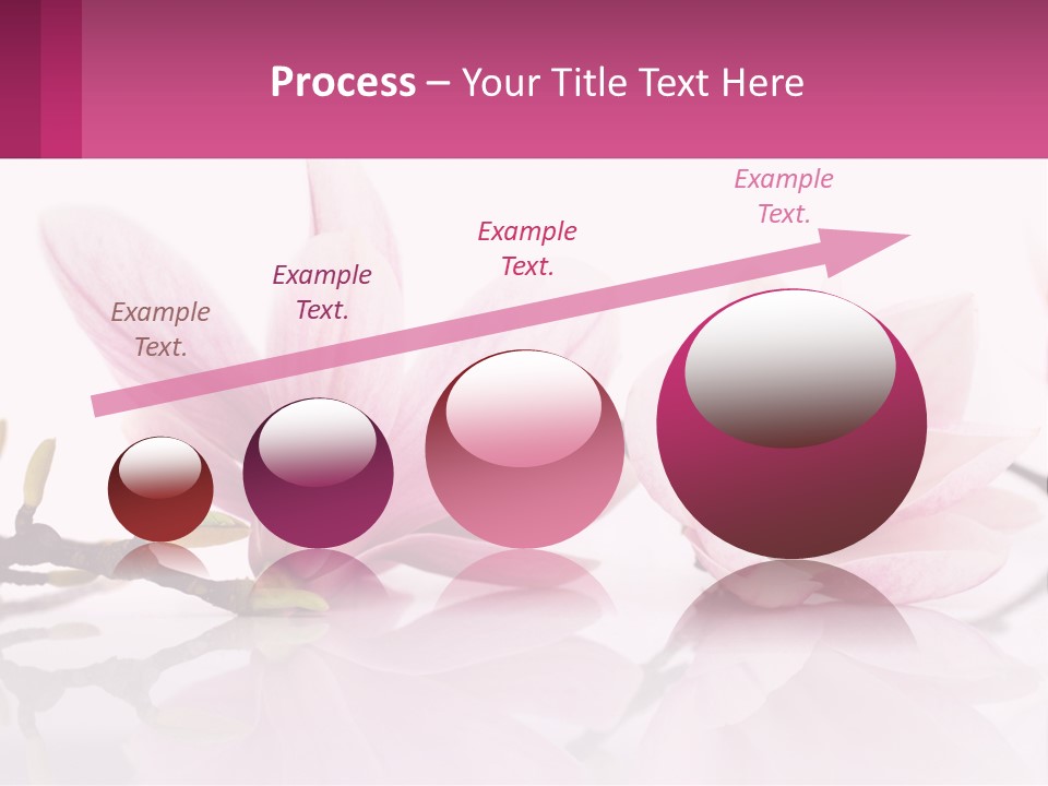 Three Pink Flowers On A White Background With A Pink Border PowerPoint Template