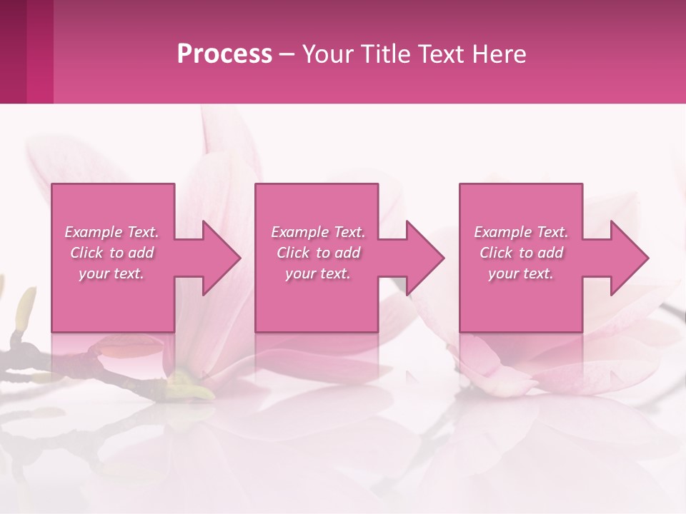Three Pink Flowers On A White Background With A Pink Border PowerPoint Template