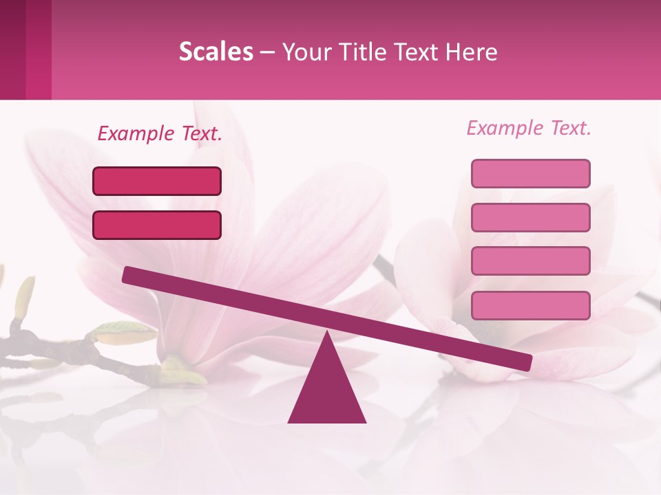 Three Pink Flowers On A White Background With A Pink Border PowerPoint Template