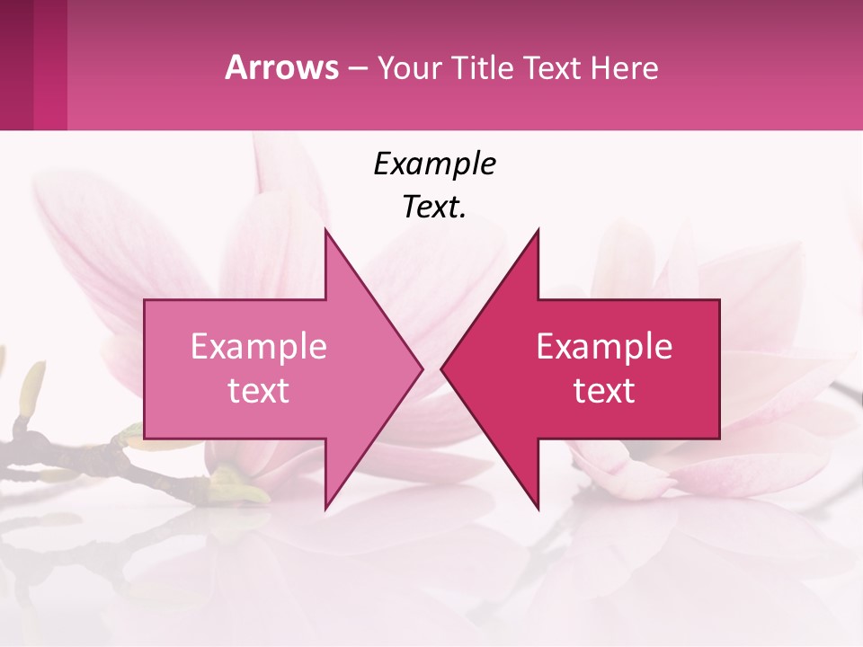 Three Pink Flowers On A White Background With A Pink Border PowerPoint Template