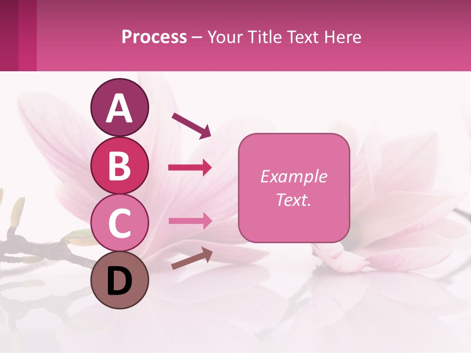Three Pink Flowers On A White Background With A Pink Border PowerPoint Template