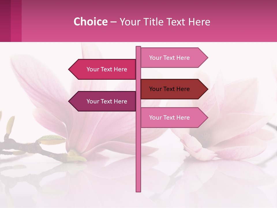 Three Pink Flowers On A White Background With A Pink Border PowerPoint Template