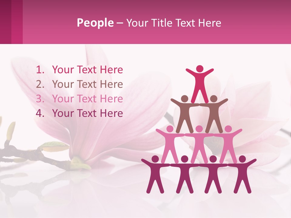 Three Pink Flowers On A White Background With A Pink Border PowerPoint Template