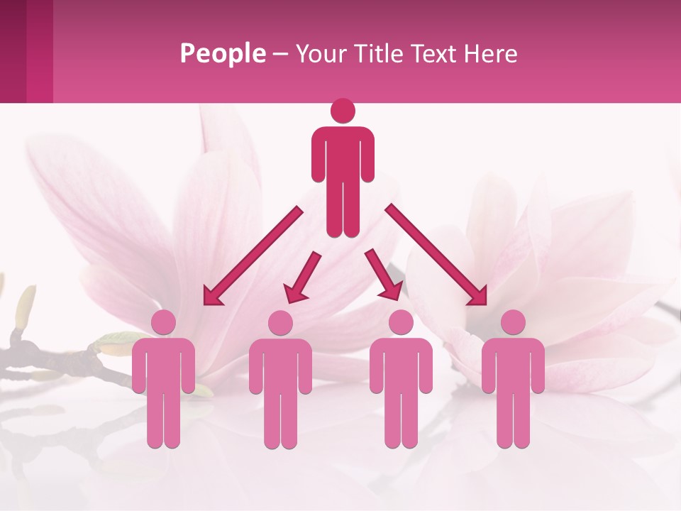Three Pink Flowers On A White Background With A Pink Border PowerPoint Template