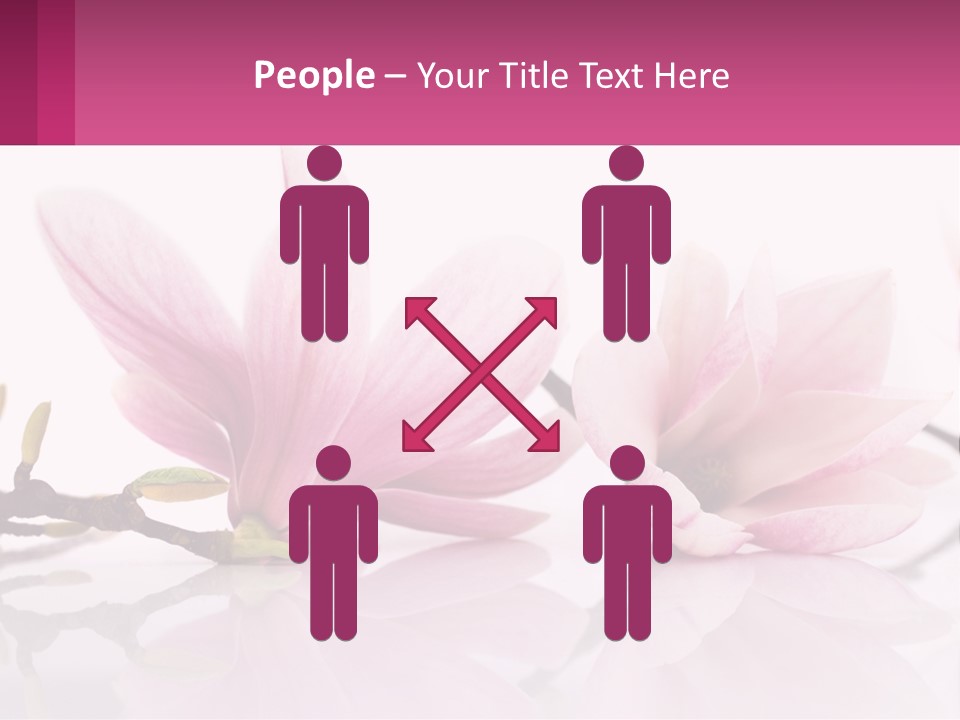 Three Pink Flowers On A White Background With A Pink Border PowerPoint Template