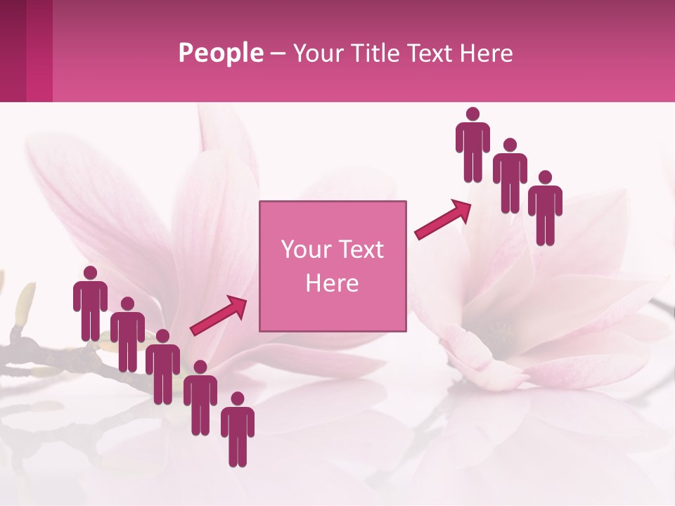 Three Pink Flowers On A White Background With A Pink Border PowerPoint Template