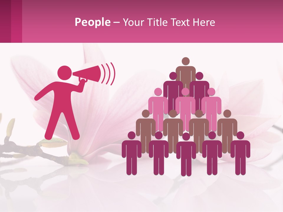 Three Pink Flowers On A White Background With A Pink Border PowerPoint Template