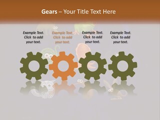 A Group Of Different Types Of Animals On A Blue Background PowerPoint Template
