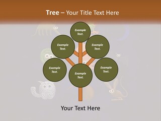 A Group Of Different Types Of Animals On A Blue Background PowerPoint Template
