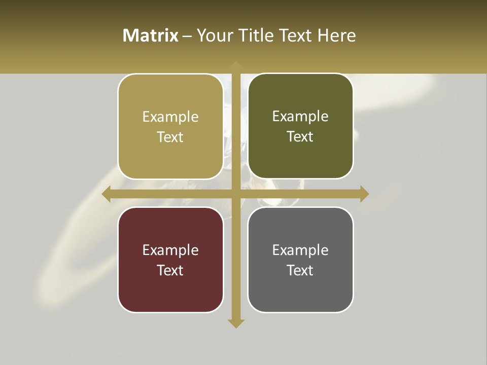 A Gold Ring With A White Diamond On It PowerPoint Template