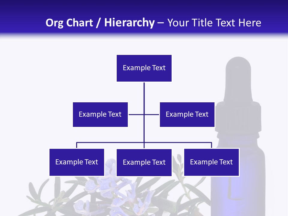 A Bottle Of Essential Oils Next To Some Flowers PowerPoint Template