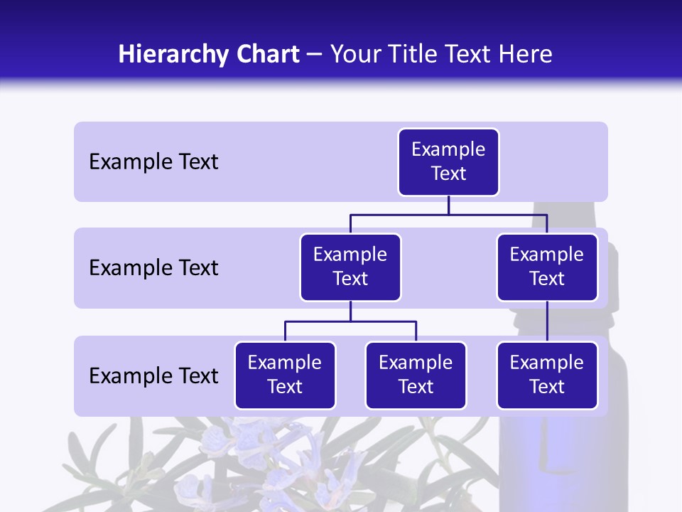 A Bottle Of Essential Oils Next To Some Flowers PowerPoint Template
