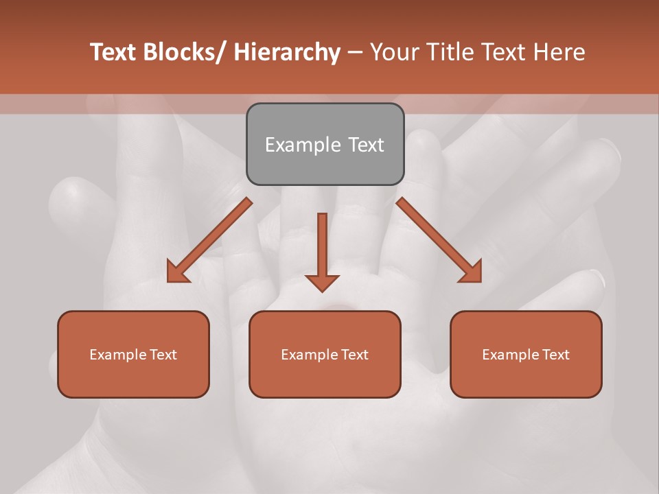 A Group Of Hands Holding A Red Heart Powerpoint Template PowerPoint Template