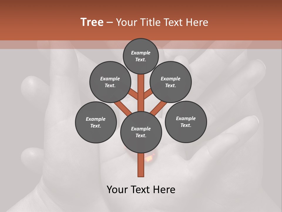 A Group Of Hands Holding A Red Heart Powerpoint Template PowerPoint Template