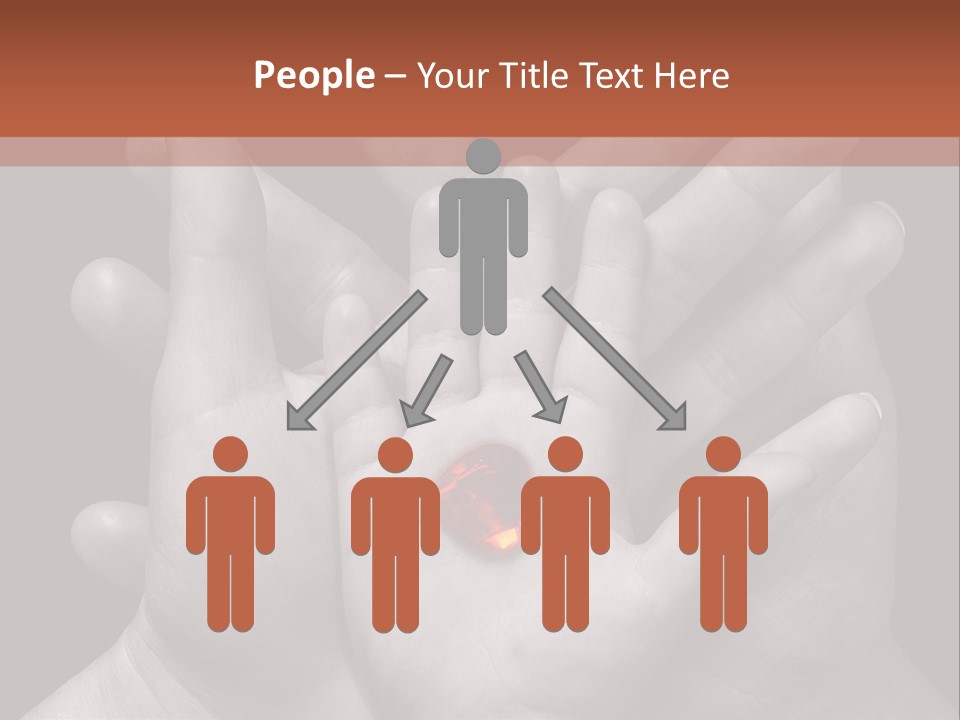 A Group Of Hands Holding A Red Heart Powerpoint Template PowerPoint Template