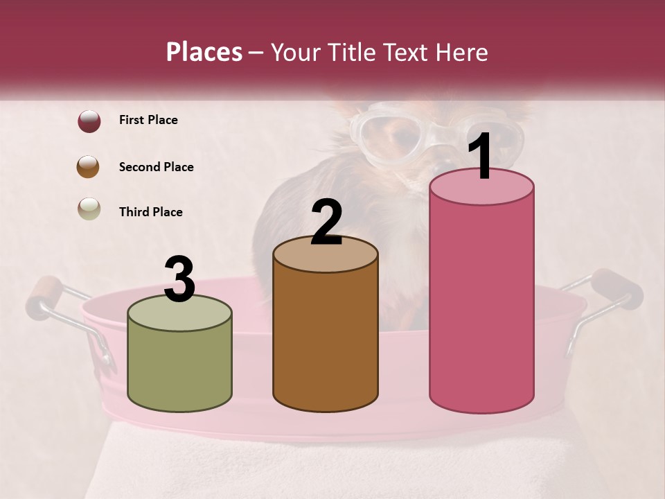 A Small Dog With Glasses Sitting In A Pink Tub PowerPoint Template