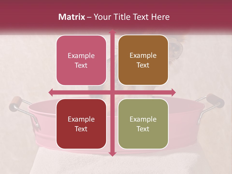 A Small Dog With Glasses Sitting In A Pink Tub PowerPoint Template