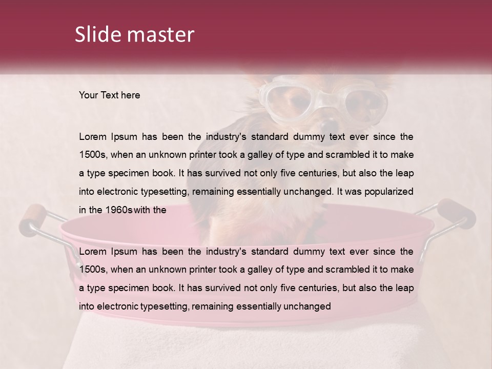 A Small Dog With Glasses Sitting In A Pink Tub PowerPoint Template