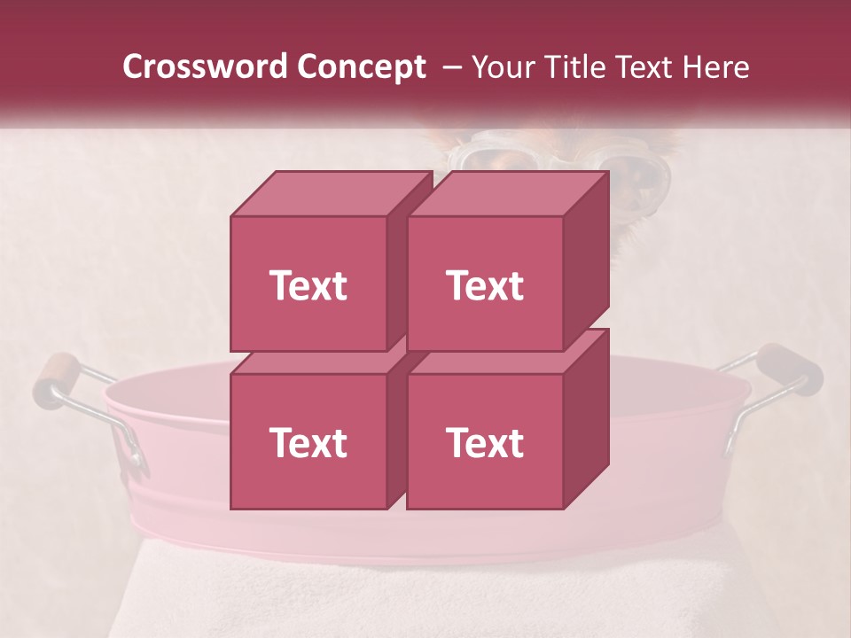 A Small Dog With Glasses Sitting In A Pink Tub PowerPoint Template