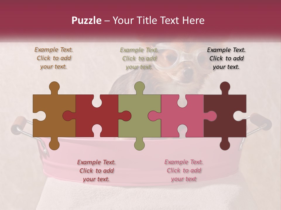 A Small Dog With Glasses Sitting In A Pink Tub PowerPoint Template