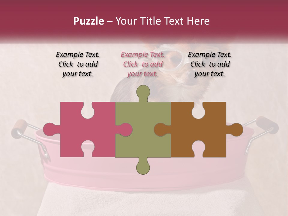 A Small Dog With Glasses Sitting In A Pink Tub PowerPoint Template