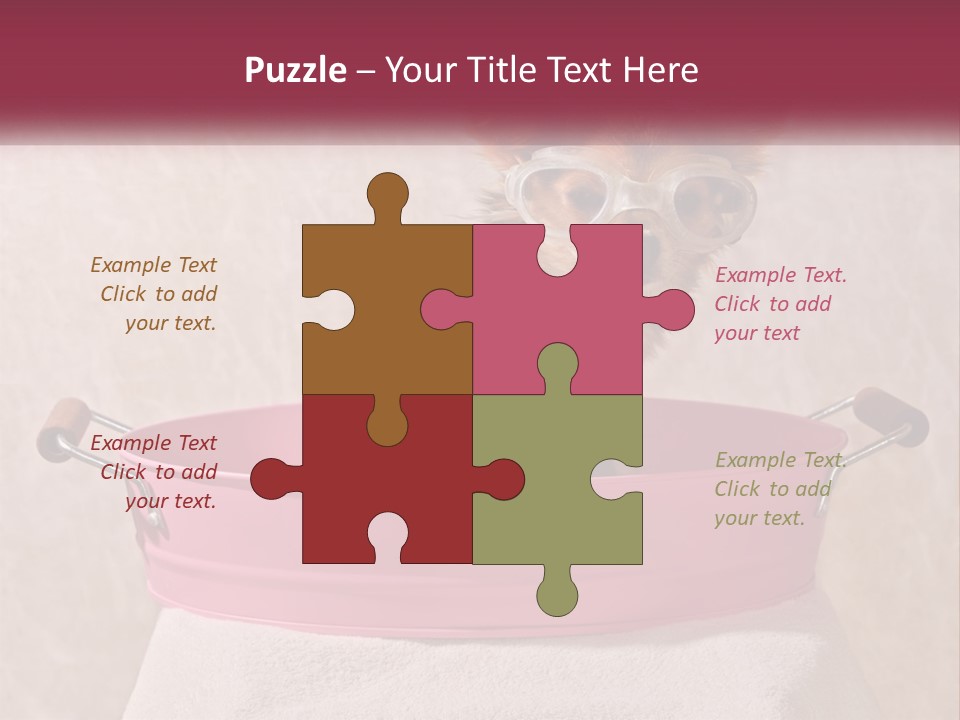 A Small Dog With Glasses Sitting In A Pink Tub PowerPoint Template