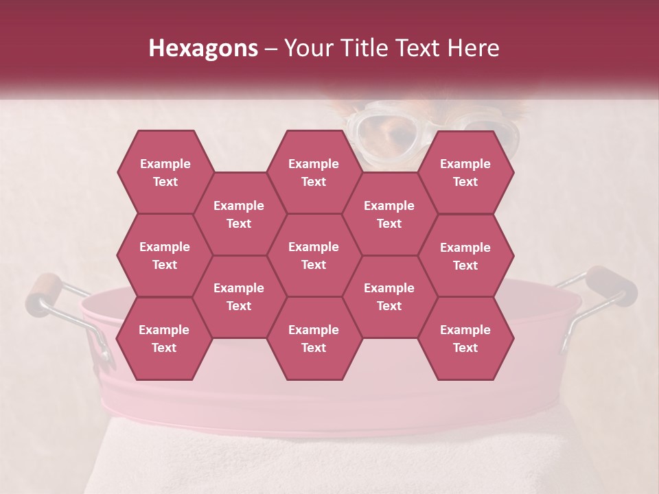 A Small Dog With Glasses Sitting In A Pink Tub PowerPoint Template