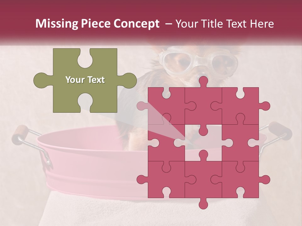 A Small Dog With Glasses Sitting In A Pink Tub PowerPoint Template