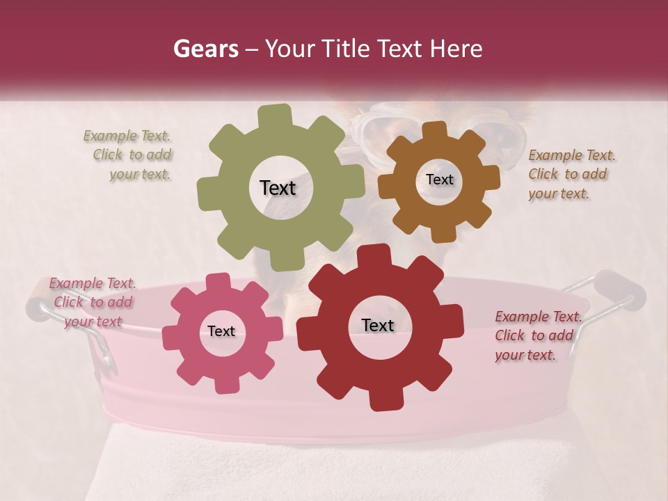 A Small Dog With Glasses Sitting In A Pink Tub PowerPoint Template