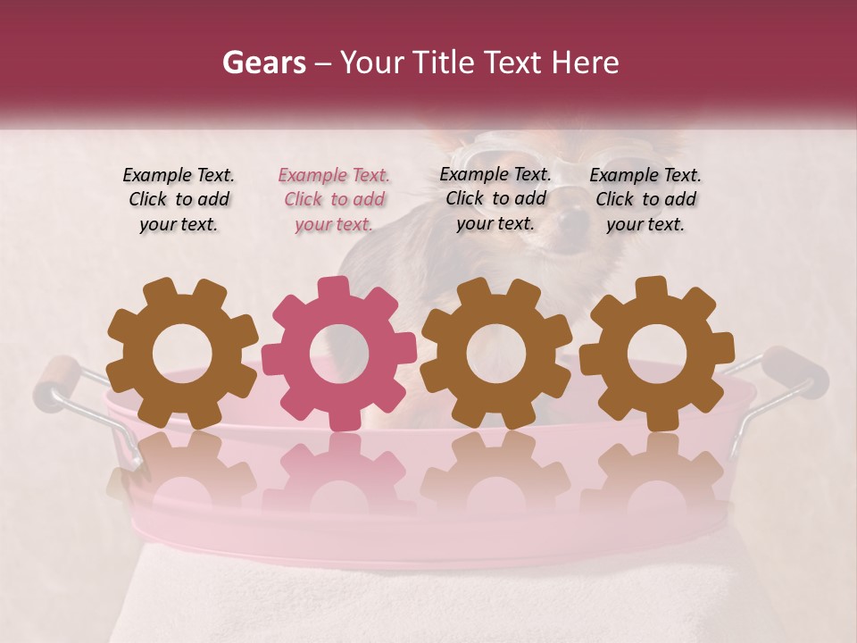 A Small Dog With Glasses Sitting In A Pink Tub PowerPoint Template