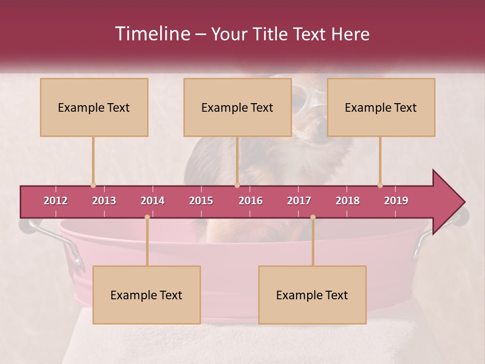 A Small Dog With Glasses Sitting In A Pink Tub PowerPoint Template