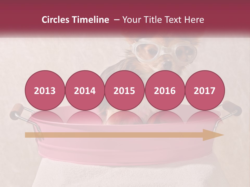 A Small Dog With Glasses Sitting In A Pink Tub PowerPoint Template