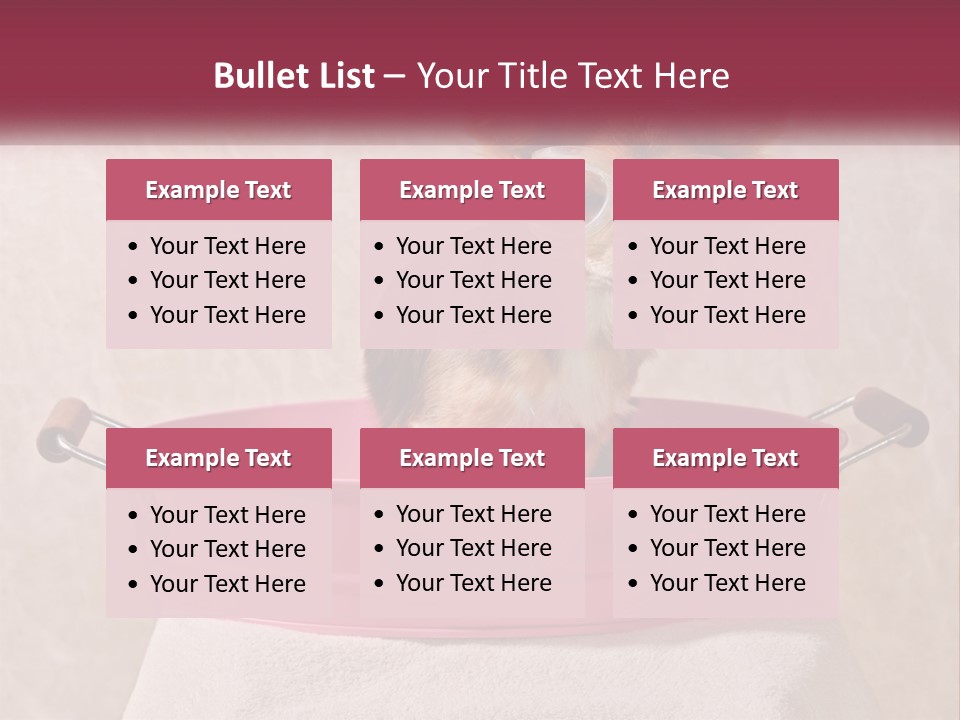 A Small Dog With Glasses Sitting In A Pink Tub PowerPoint Template