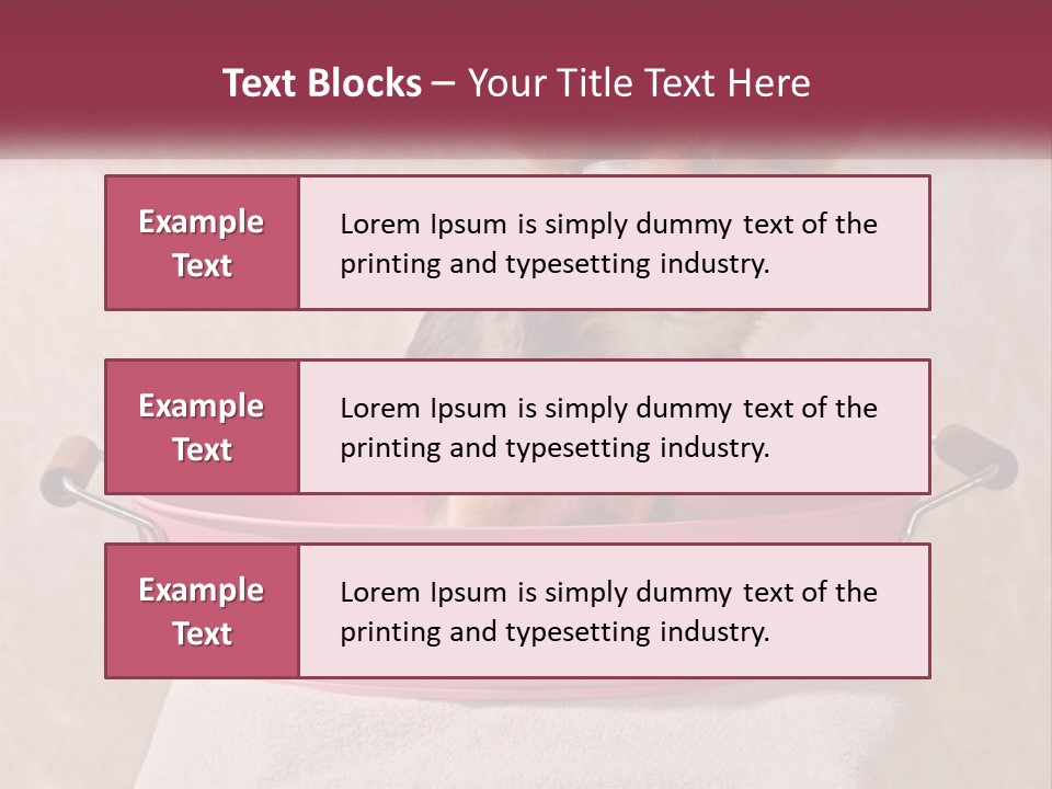 A Small Dog With Glasses Sitting In A Pink Tub PowerPoint Template