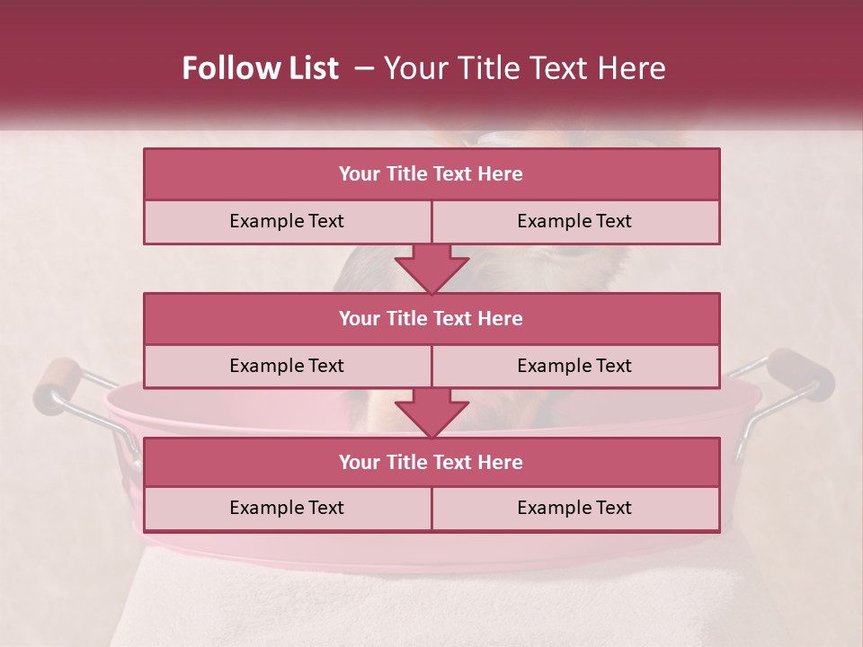 A Small Dog With Glasses Sitting In A Pink Tub PowerPoint Template