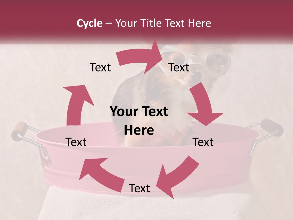 A Small Dog With Glasses Sitting In A Pink Tub PowerPoint Template